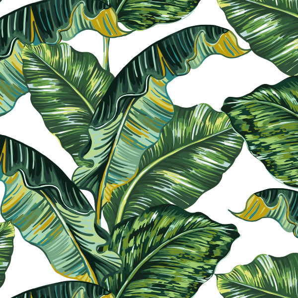 Leaves banana wallpaper 