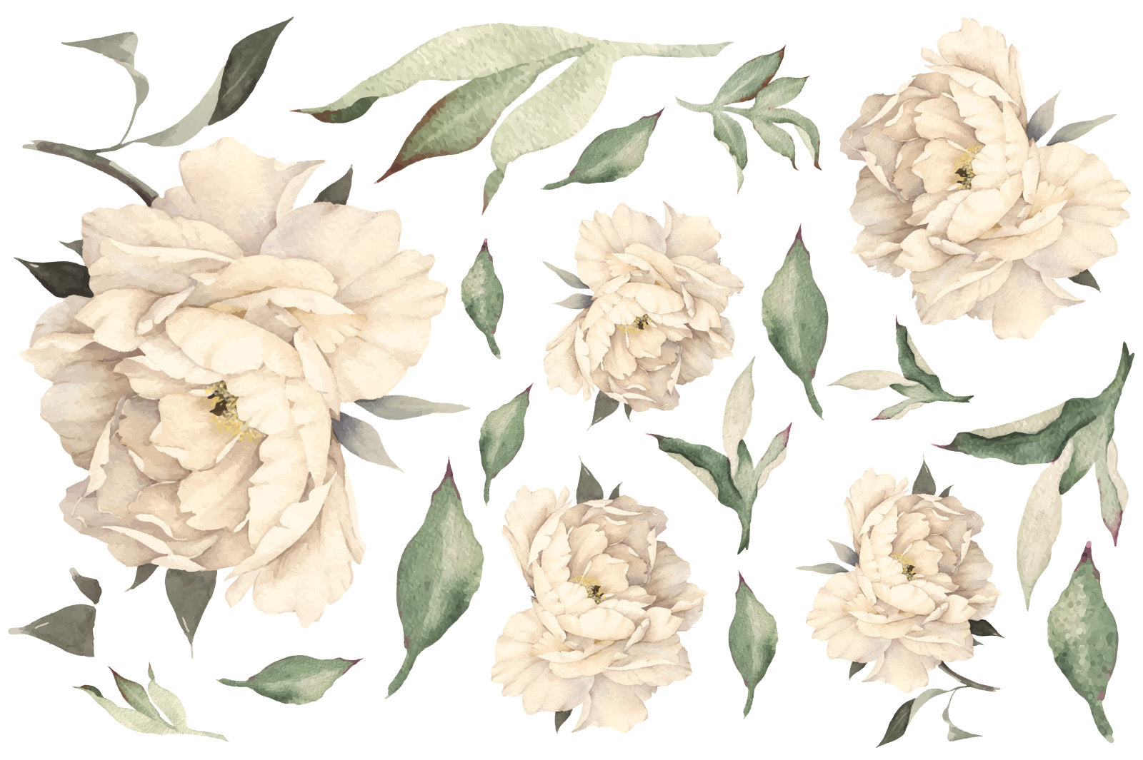 Peony Floral Leaves Wall Decals